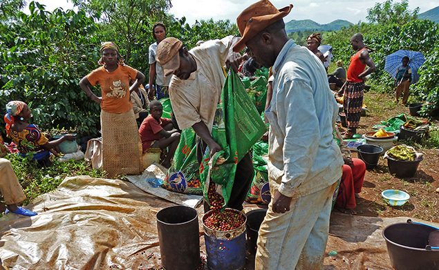 Frères du Noun - Bafoussam, Cameroun