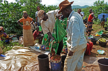 Frères du Noun - Bafoussam, Cameroun