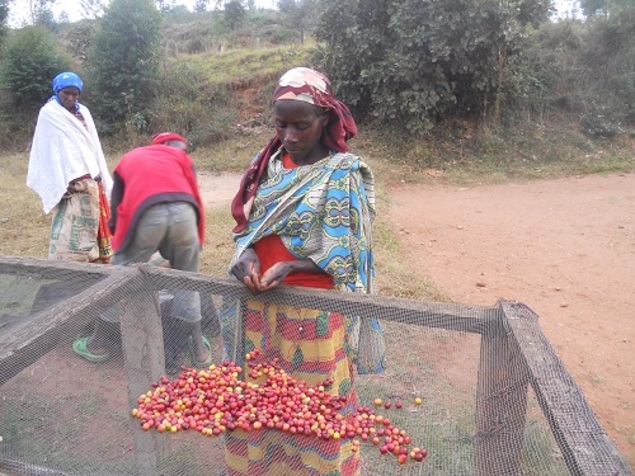 Titus - Kibumbwe, Cyangugu, Rwanda