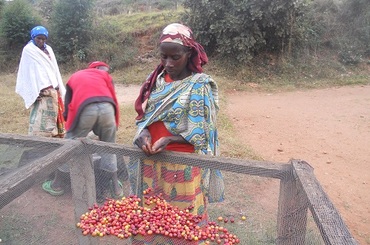 Titus - Kibumbwe, Cyangugu, Rwanda