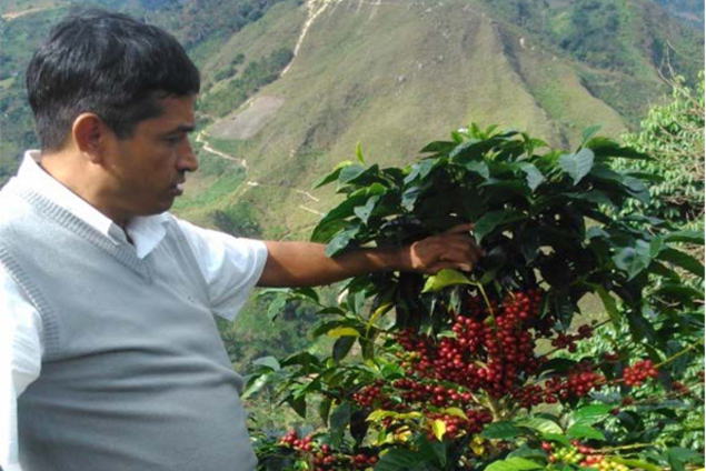 BIO - El Mango - Cajamarca, Pérou