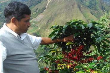 BIO - El Mango - Cajamarca, Pérou