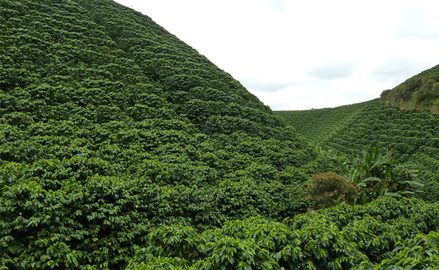 Macao - Quindío, Colombie