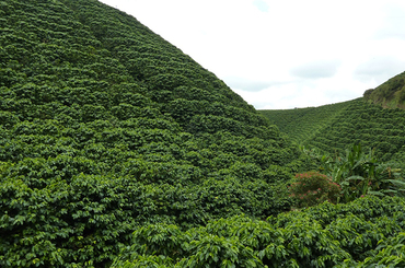 Macao - Quindío, Colombie