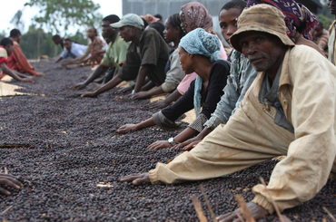 Seka - Jimma, Ethiopie