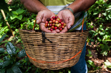 BIO - Santa Fé - Chiapas, Mexique