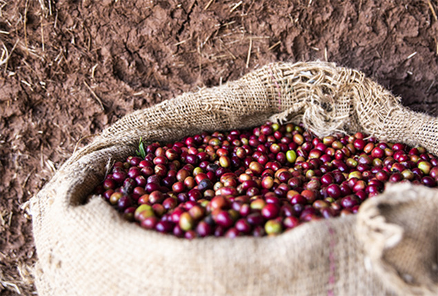 Yirgacheffe