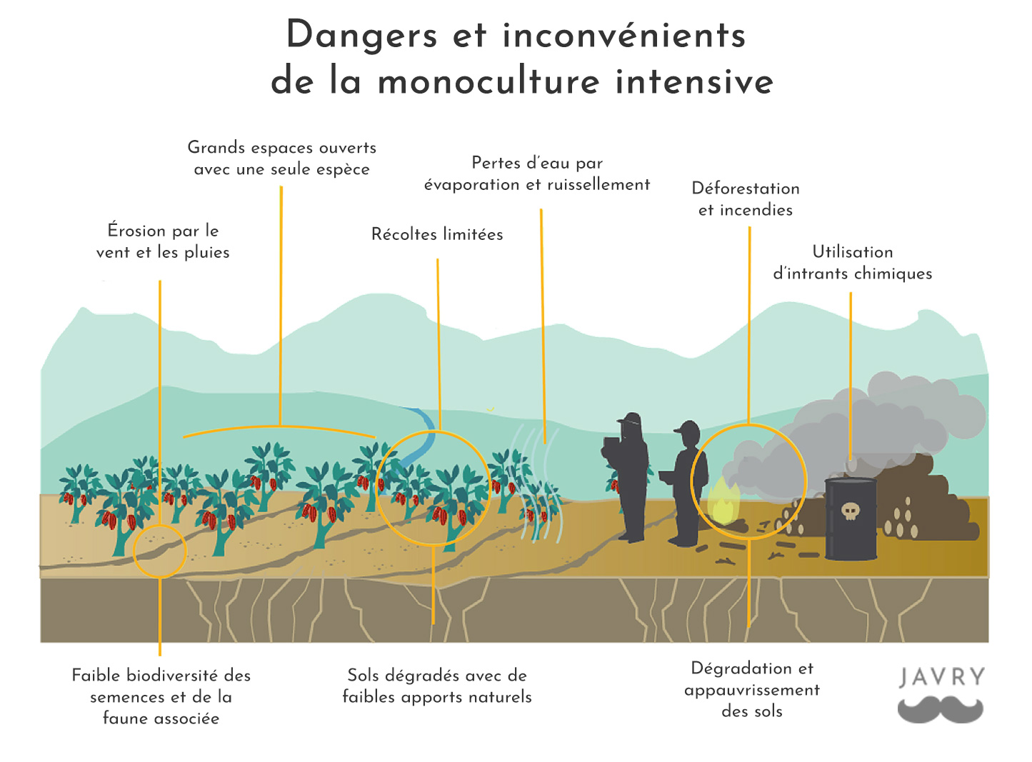monoculture intensive