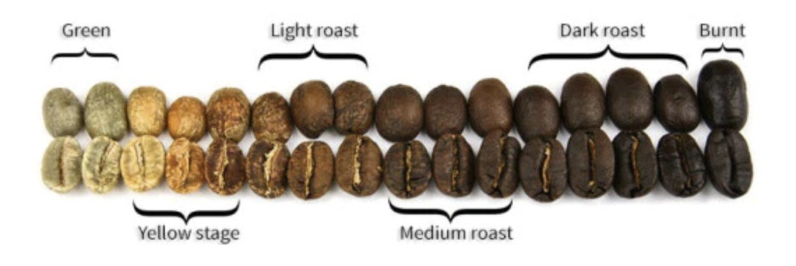 degrés de torréfaction