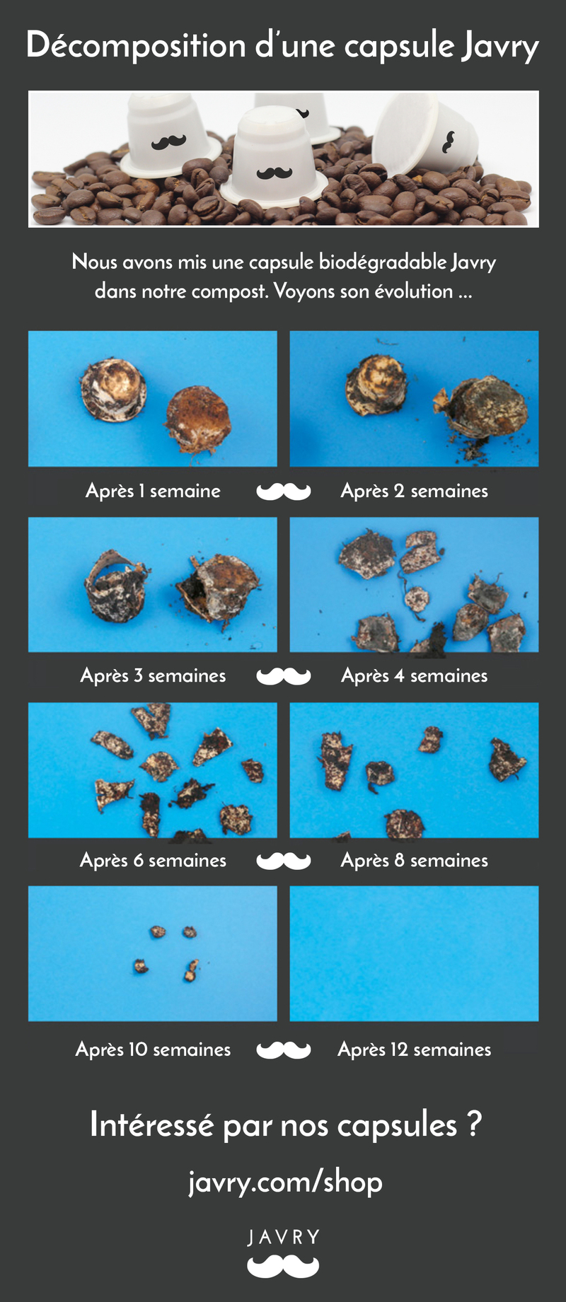decomposition capsule Javry 100% biodégradable