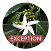 café Exception