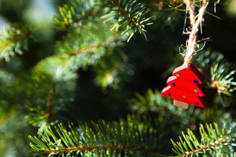 sapin de Noël