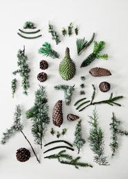 déco nature