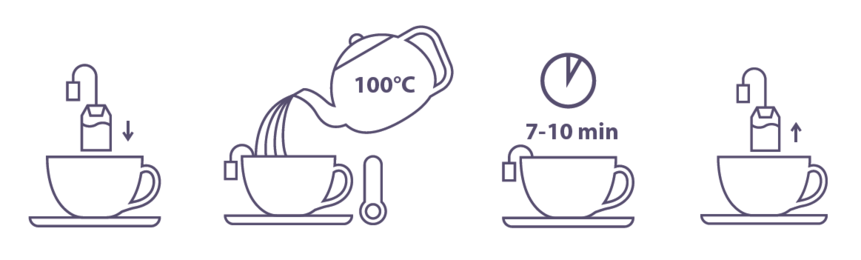 Dégustation tisane