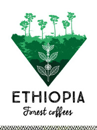 Cafés d'Ethiopie