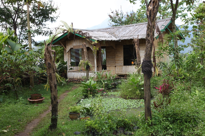 Sunda 6