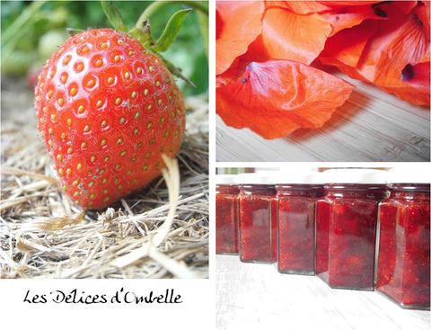 Produits naturels à base de plantes